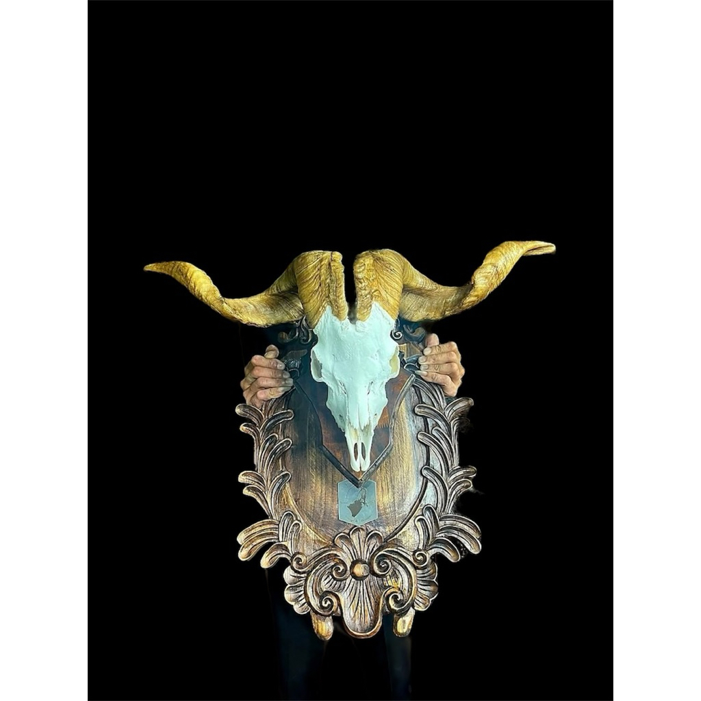 #queen #of #goats ราชินีเเพะออสเตรีย ฟอร์มสวยมาก 1ในฟอร์มที่สวยที่สุด ขนาดความยาวเขาต่อข้าง72cm. ปลา