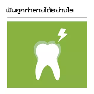 [แพ็คคู่] ลิสเตอรีน น้ำยาบ้วนปาก เนเชอรัล กรีนที 750มล. แพ็คคู่ Listerine mouthwash Natural greentea 750ml. Twinpack