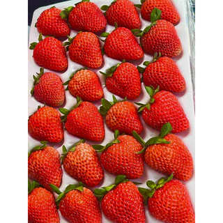 🍓สตอเบอรี่สด นำเข้าจัดส่งทันที✨ คัดก่อนส่ง ขนาด20ลูก (เปรี้ยวอมหวานพื้นที่ กทม.ได้รับภายใน 4 ชั่วโมง กดรับด่วนเท่านั้น)