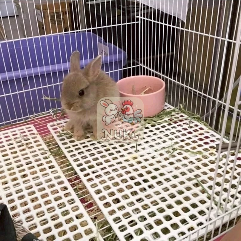 [ ขนาด 26×34 cm ] ตะแกงรองกรง แผ่นรองกรงกระต่าย พลาสติกหนาแข็งแรงทนทาน