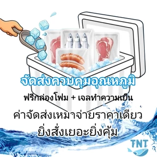 กุ้งชุบแป้งขนมปัง 10 ชิ้น