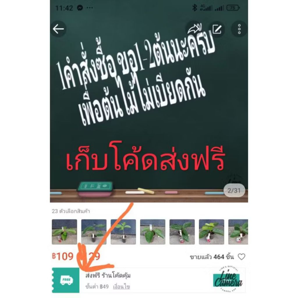 Thumbnail 5