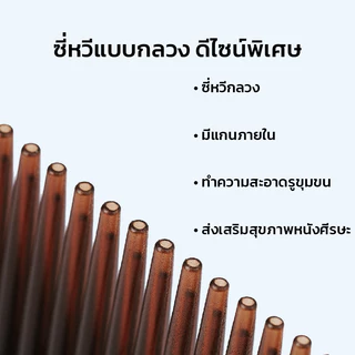 GRAREY แปรงหวีผมขจัดรังแค รุ่น D4 (หวีซี่กลวง ดูดซับความมัน รังแค สิ่งสกปรกบนศีรษะ ป้องกันไฟฟ้าสถิต)