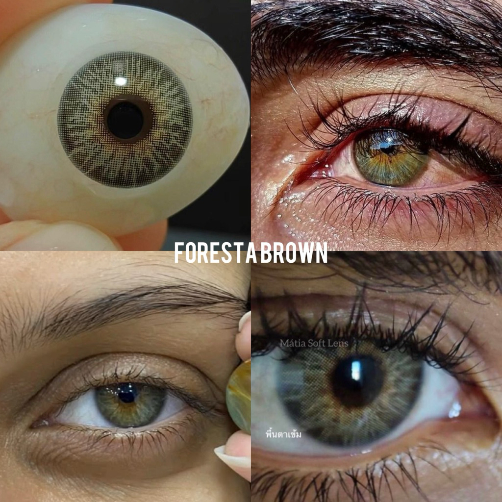 รุ่น Foresta Brown คอนแทคเลนส์สายฝอ (มีค่าสายตา)