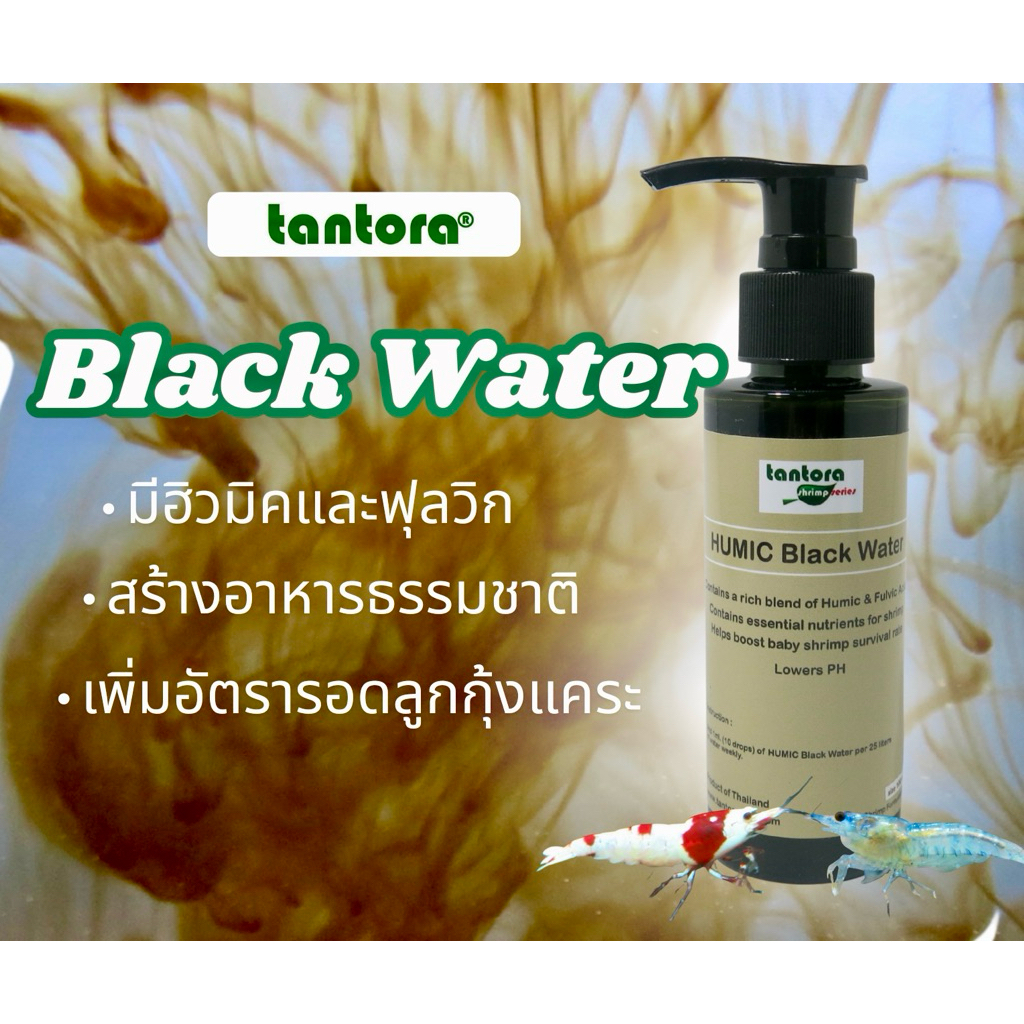 HUMIC Black Water สำหรับสร้างจุลชีพเพื่อเป็นอาหารกุ้งแคระ/เรดบี เพิ่มอัตราการนอดลูกกุ้ง