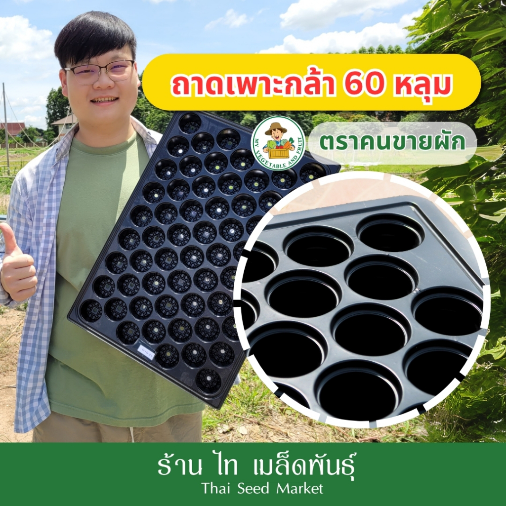 ถาดเพาะต้นกล้า 60 หลุม ถาดเพาะ ความหนา 0.6/0.7 มิลลิเมตร เกรด AAA ราคาพิเศษ ตราคนขายผัก
