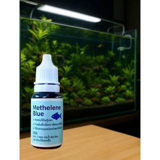 เมทิลีน บูล (Methylene Blue) สําหรับตู้ปลาสวยงามลดคลามเคลียดอ่างปลาตู้ปลา