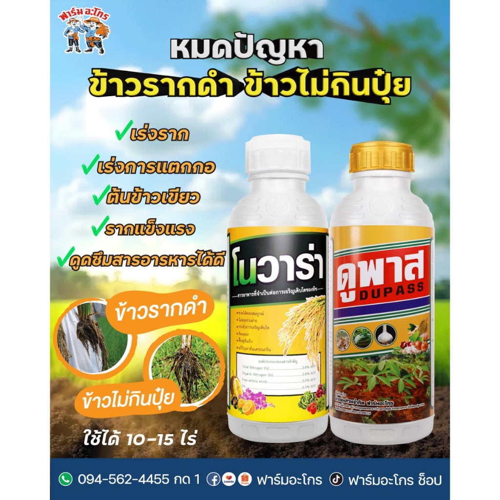 โนวาร่า+ดูพลัส (ขนาด 1 ลิตร) ฮอร์โมนและอาหารเสริมพืช ช่วงข้าวเล็ก 10-15 ไร่