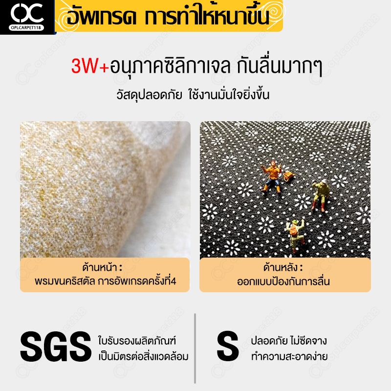 รูปภาพ 5