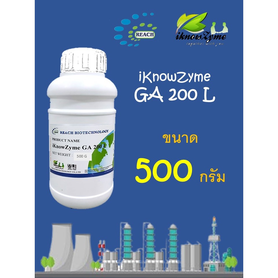 iKnowZyme GA 200 L เอนไซม์กลูโคอะไมเลส ขนาด 500 กรัม