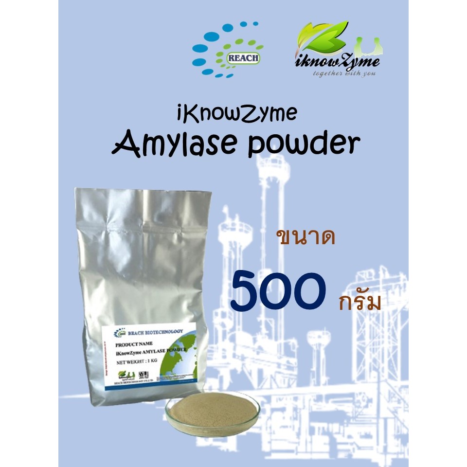 iKnowZyme Amylase Powder  เอนไซม์แอลฟา-อะไมเลส ขนาด 500 กรัม