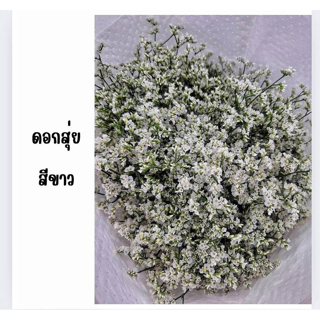 ดอกไม้สด คัดเกรด พร้อมส่ง ดอกสุ่ยสด ราคาถูก ปากคลองตลาด สำหรับแซมช่อ ปักแจกัน ดอกไม้ตกแต่งร้านอาหาร