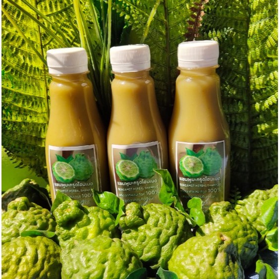 แชมพูมะกรูดโฮมเมด 250 ML 3 ขวด