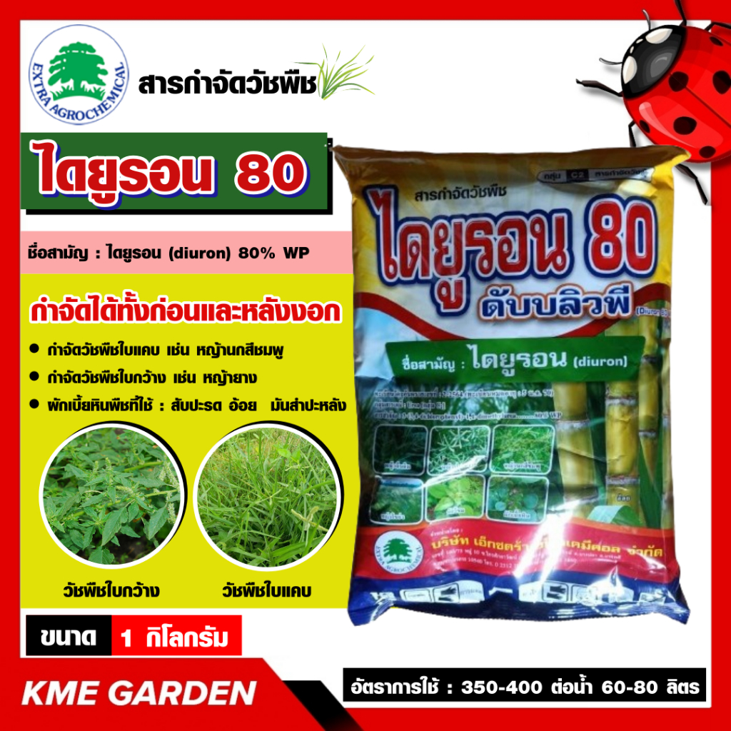 ไดยูรอน 80 ดับบลิวพี ขนาด 1 กิโลกรัมสารกำจัดวัชพืช ได้ทั้งก่อนและหลังงอก วัชพืชที่กำจัดได้ หญ้าตีนนก หญ้าไม้กวาด