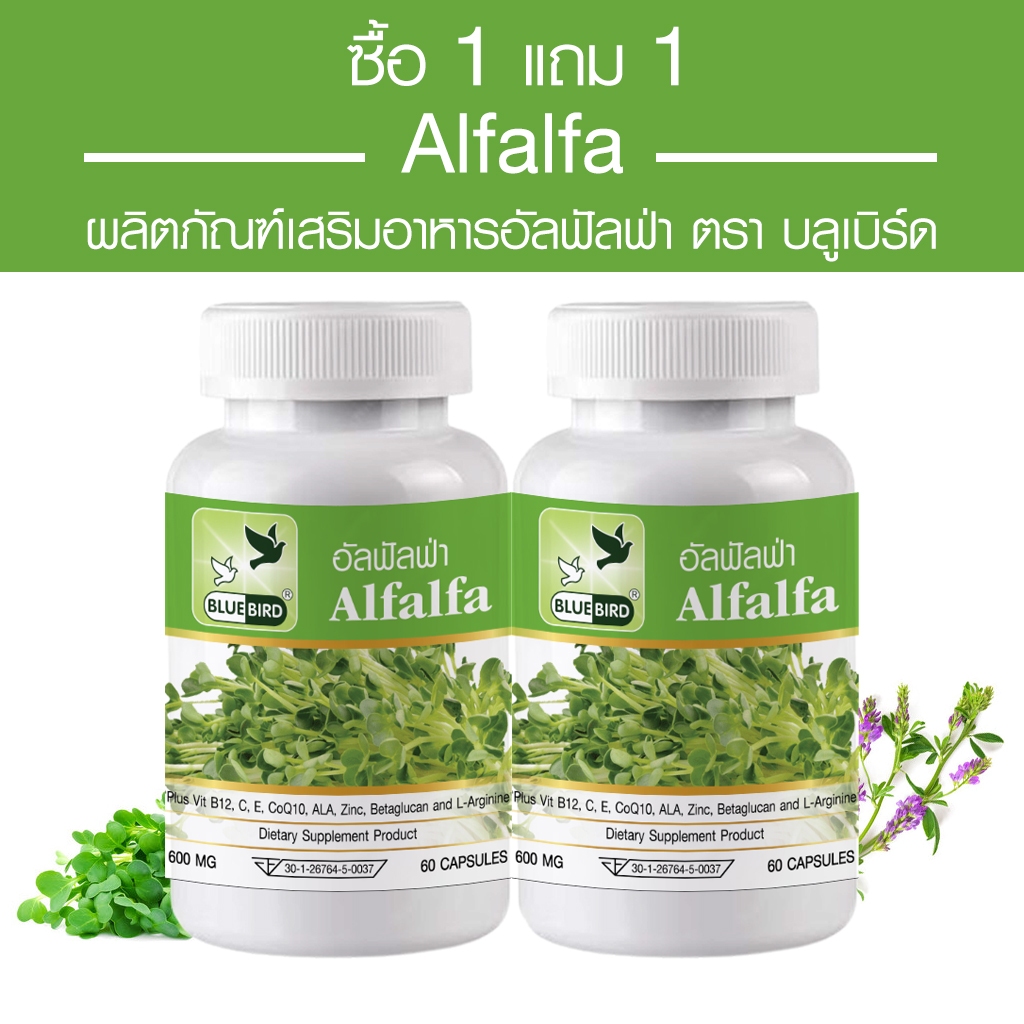 [1แถม1] อัลฟัลฟ่า Alfalfa ตรา บลูเบิร์ด ขนาด 600 มิลลิกรัม 60 แคปซูล