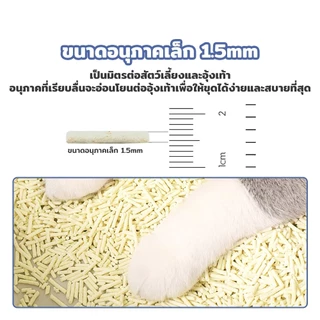 PetStern x Petcho ทรายแมวเต้าหู้ Cat Litter 40L. ผลิตจากกากถั่วเหลืองธรรมชาติ จับตัวเป็นก้อนเร็ว ทิ้งชักโครกได้