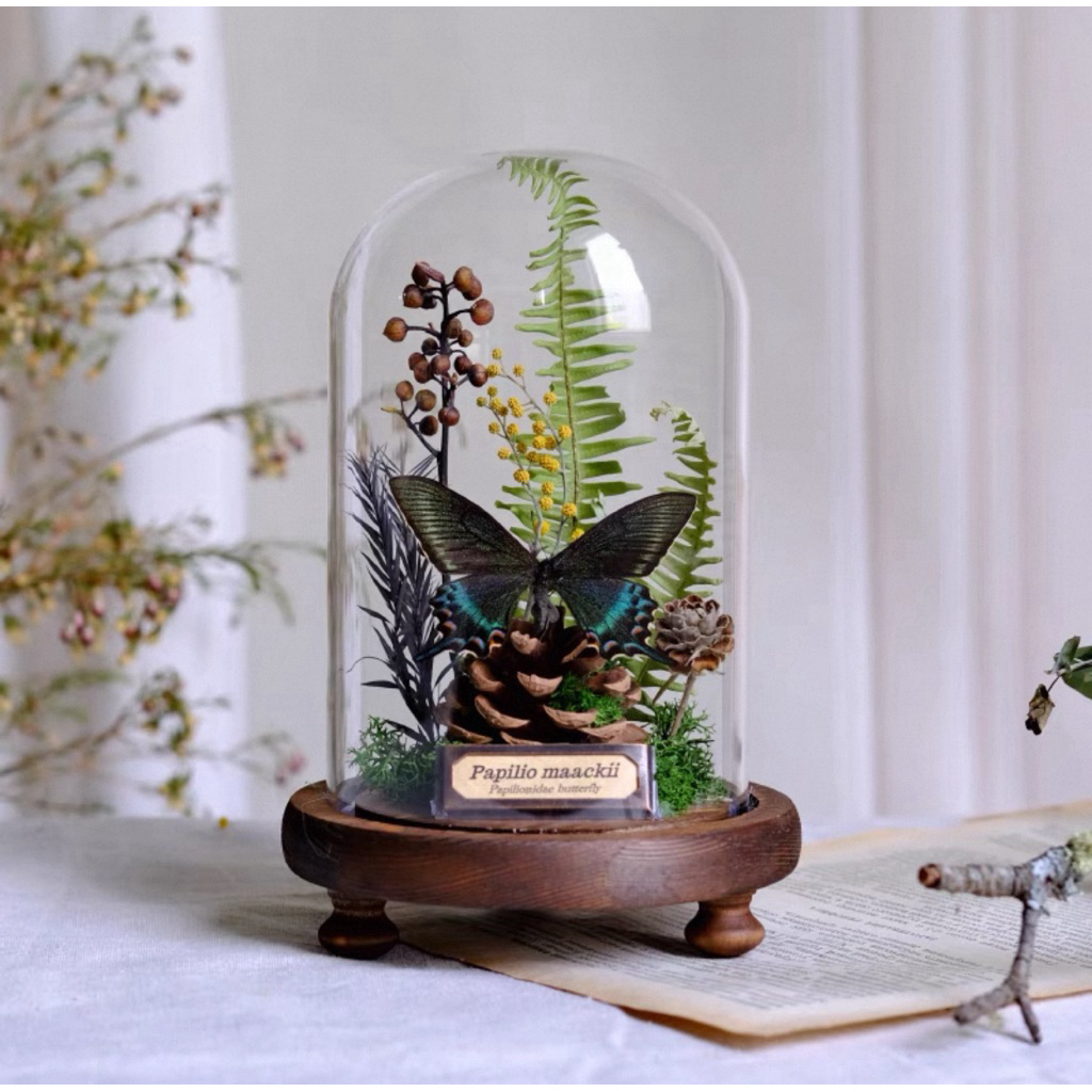 🦋 โหลผีเสื้อ Green Belt Joyful  งานตกแต่งบ้านสวยงาม สไตล์หรูหรา    ✨ ขนาด: รอบวง 12 ซม. สูง 19 ซม.