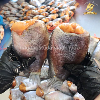 ปลาสลิดแดดเดียวแสนสมบูรณ์ น้ำหนัก 500 กรัม (จำนวน 4 ตัว)