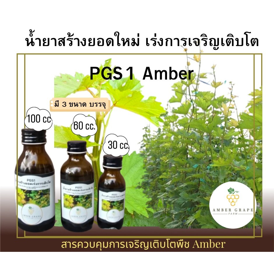 น้ำยาสร้างยอดใหม่เร่งการเจริญเติบโตPGS1ขนาด60ซีซี