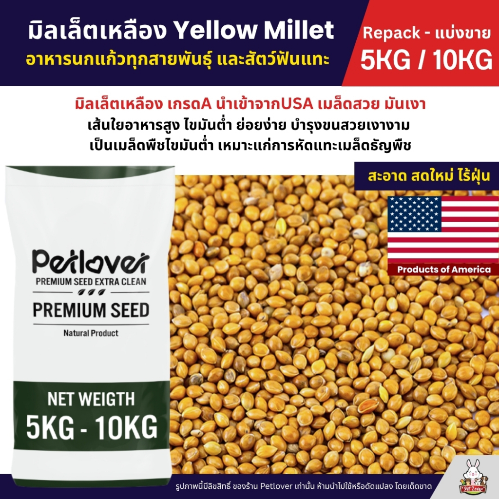 (5KG/10KG) มิลเล็ตเหลือง Yellow Millet เกรด A อาหารนกแก้ว และสัตว์ฟันแทะ ใหม่ สด สะอาด ร่อนฝุ่นทุกถุง