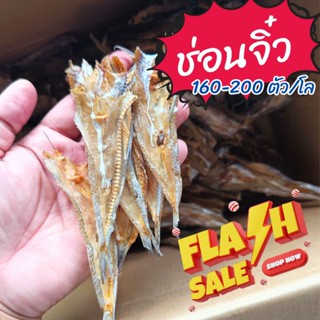 ปลาช่อนตากทะเลแห้ง ไซส์จิ๋ว ปลาไลก้อ ปลาจิ๊กโก้ ส่งไว ตรงปก …