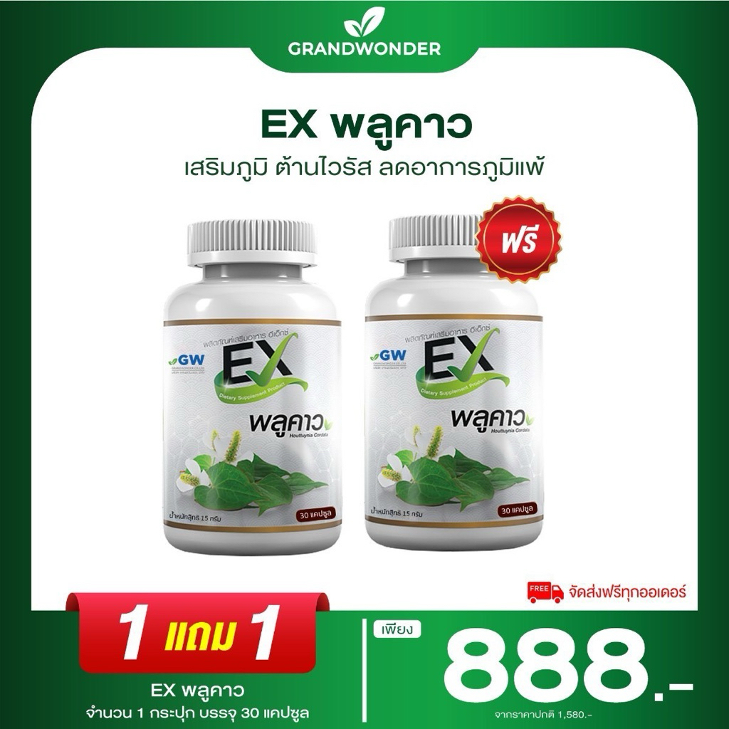ส่งฟรี [ 1 แถม 1 ] AWL EX พลูคาว เสริมภูมิคุ้มกัน ต้านอนุมูลอิสระ ภูมิแพ้  ไอ เจ็บคอ ต้านเชื้อไวรัส
