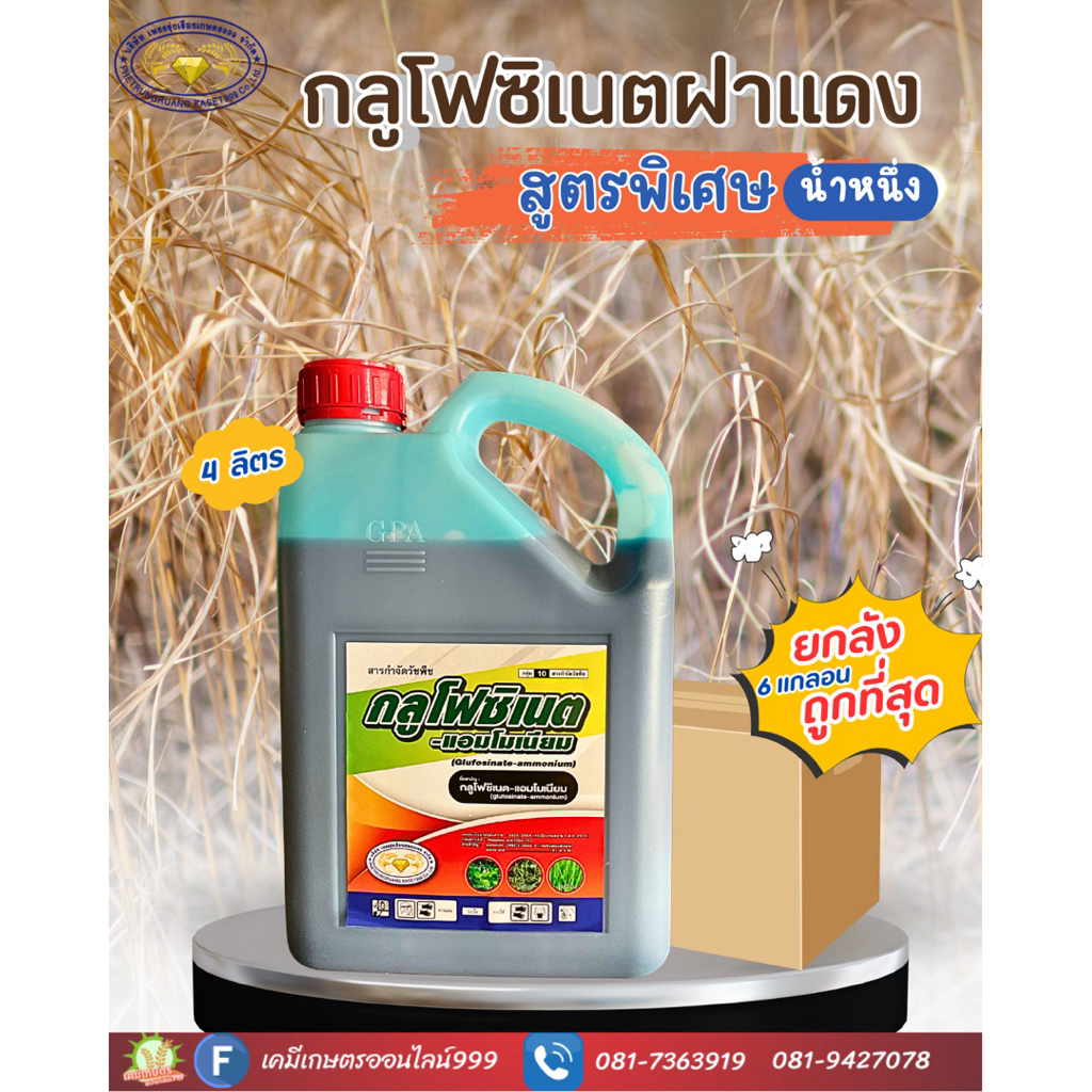 *ยกลัง(6)*กลูโฟซิเนตฝาแดง 4 ลิตร(เอาอยู่ทุกหญ้า)