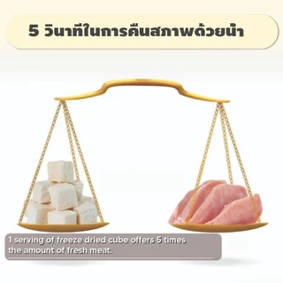 ขนมฟรีซดราย ไก่ฟรีซดราย แซลมอนฟรีซดราย ขนมแมว ขนมหมา Freeze Dried for Cat & Dog