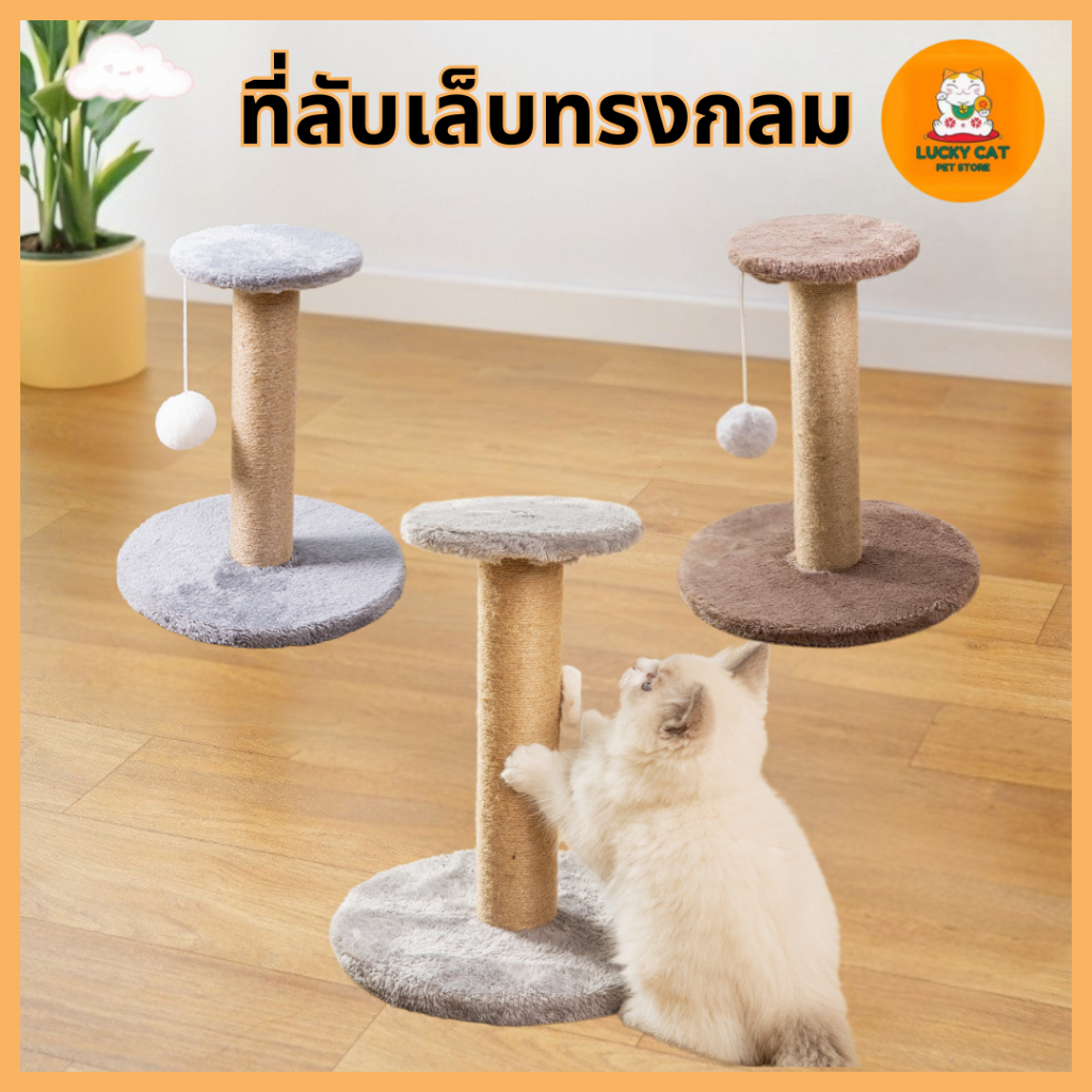 ที่รับเล็บแมว คอนโดแมว ฝนเล็บแมว กรอบปีนแมว เสาฝนเล็บแมว ของเล่นแมว ที่ลับเล็บแมว พอดีเล็บเเมว แข็งแรง ทนทานLucky