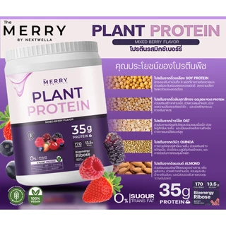 Merry Plant Protein Mixed Berries เดอะ เมอร์รี่ โปรตีนจากพืช รสมิกซ์เบอร์รี่ ขนาด 1050g