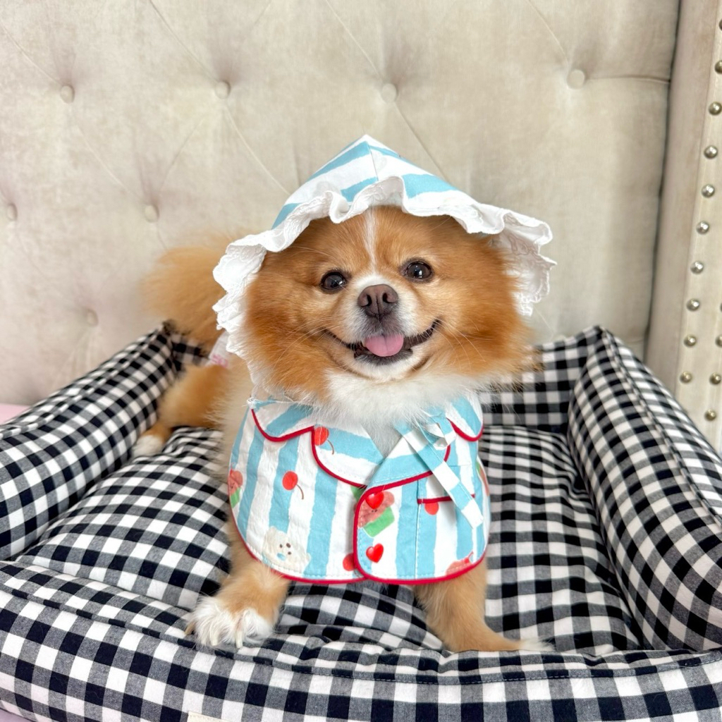 Candy Plaid Sofa Bed ที่นอนสัตว์เลี้ยง - รูปที่ 3