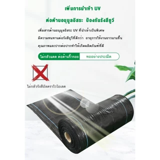 🔥ซื้อ1แถม1🔥 ผ้าคลุมดิน(เกรด A) ผ้าคลุมหญ้า พลาสติกคลุมวัชพืช คลุมวัชพืช ผ้าคลุมวัชพืช น้ำซึมผ่านได้ คลุมวัชพืช 50/100m