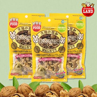 สแนควอลนัท ของว่างหอม มัน อร่อยจากธรรมชาติ ช่วยขัดฟันเมื่อกั…