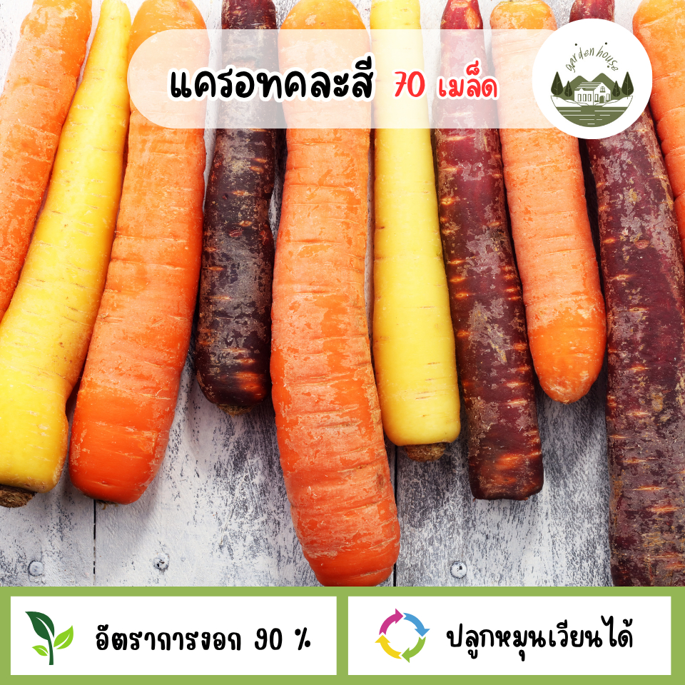 เมล็ดแครอทคละสี 70 เมล็ด