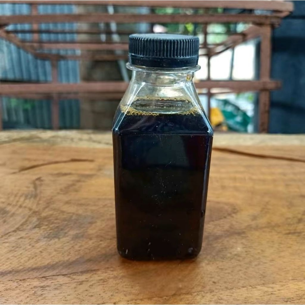 น้ำหมักฮอร์โมนเห็ดฟางและโคนน้อยช่วยให้เห็ดเจริญเติบโตดอกใหญ่