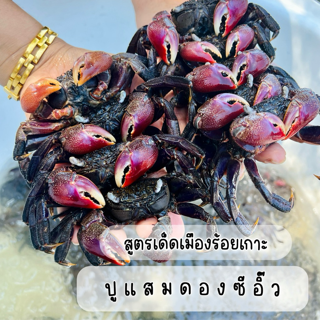 ปูแสมดองซีอิ๊ว สูตรเด็ดเมืองร้อยเกาะ 800 มล.