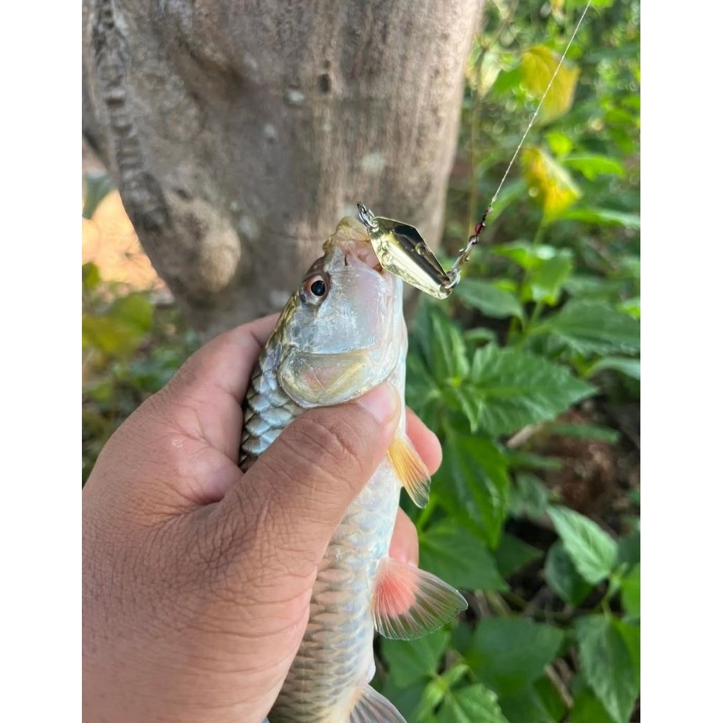 Thumbnail 8