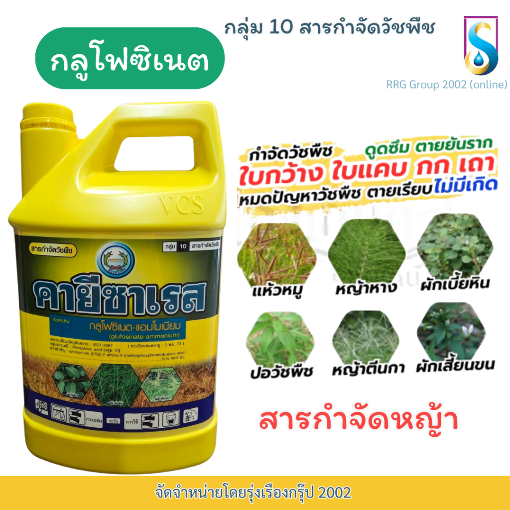 คายีซาเรส ตราหวีทอง กลูโฟซิเนต แอมโมเนียม 4 ลิตร ยาฆ่าหญ้า แบบดูดซึม-เผาไหม้