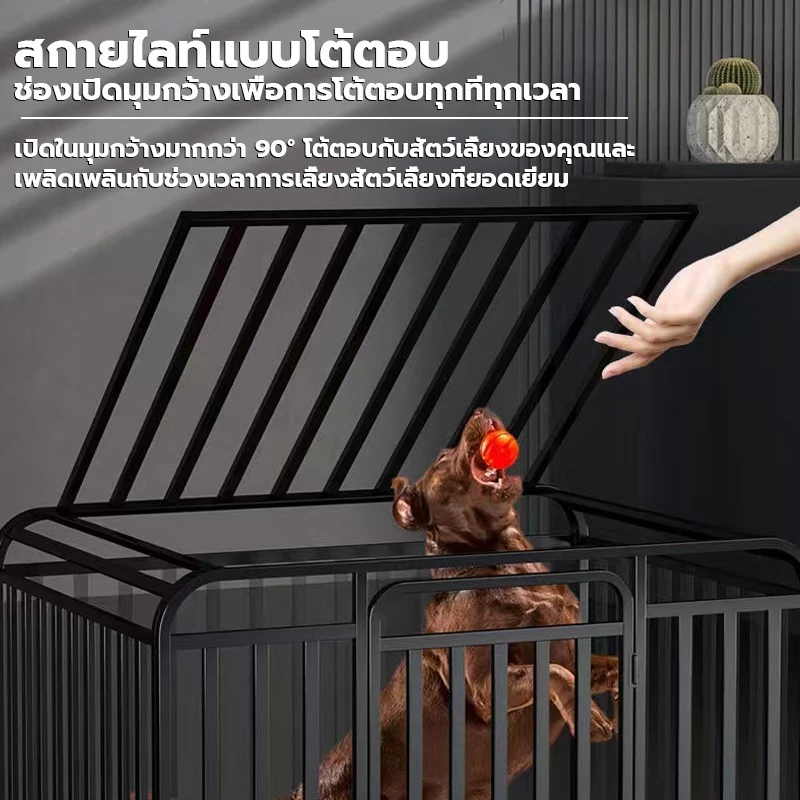 กรงสุนัข กรงสัตว์เลี้ยง สแตนเลส พับได้ thumbnail 5