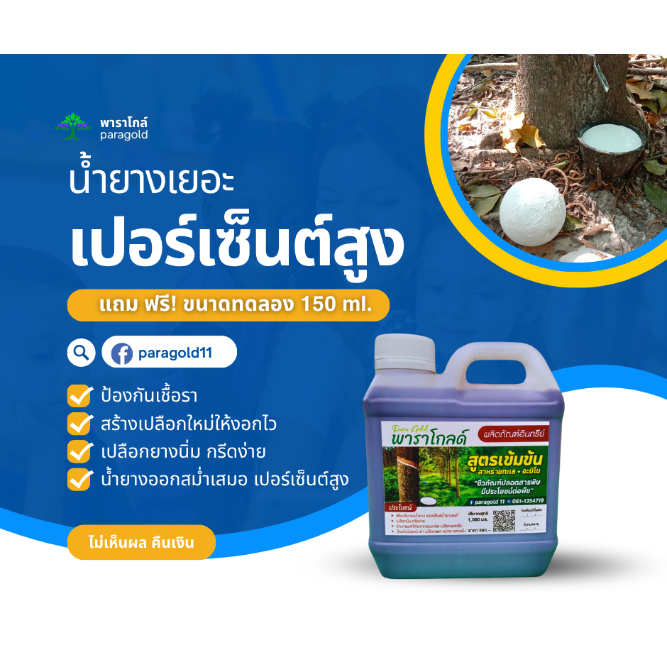 พาราโกลด์ ผลิตภัณฑ์อินทรีย์ ปุ๋ยทาบำรุงหน้ายางพารา เพิ่มน้ำยาง เพิ่มเปอร์เซนต์ รักษาโรคหน้ายางตายนึ่ง จำนวน 3 ลิตร