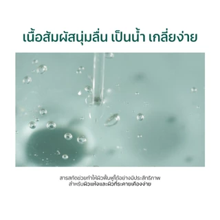 Round Lab Pine Calming Cica Ampoule 30 ml.