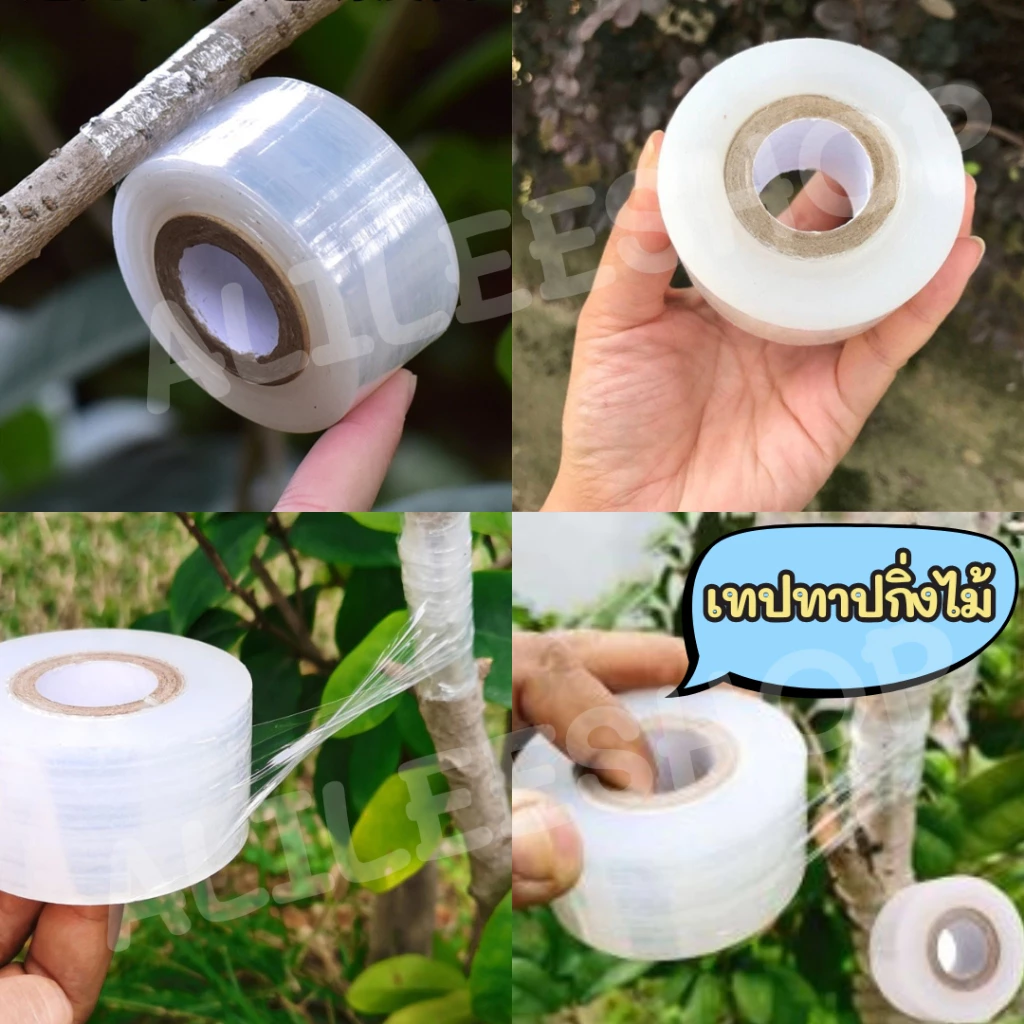 เทปพันกิ่งไม้ ตอนกิ่ง ทาบกิ่ง พลาสติก อุปกรณ์การเกษตร thumbnail 5