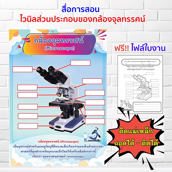 สื่อการสอน ส่วนประกอบของ กล้องจุลทรรศน์ สื่อวิทยาศาสตร์ ไวนิลการศึกษา