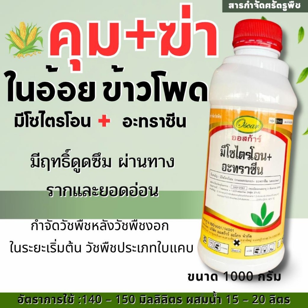 มีโซไตรโอน + อะทราซีน ออสก้าร์ สารคุม ขจัดวัชพืชใบแคบในข้าวโพด อ้อย คุมได้นาน ขนาด 1 ลิตร