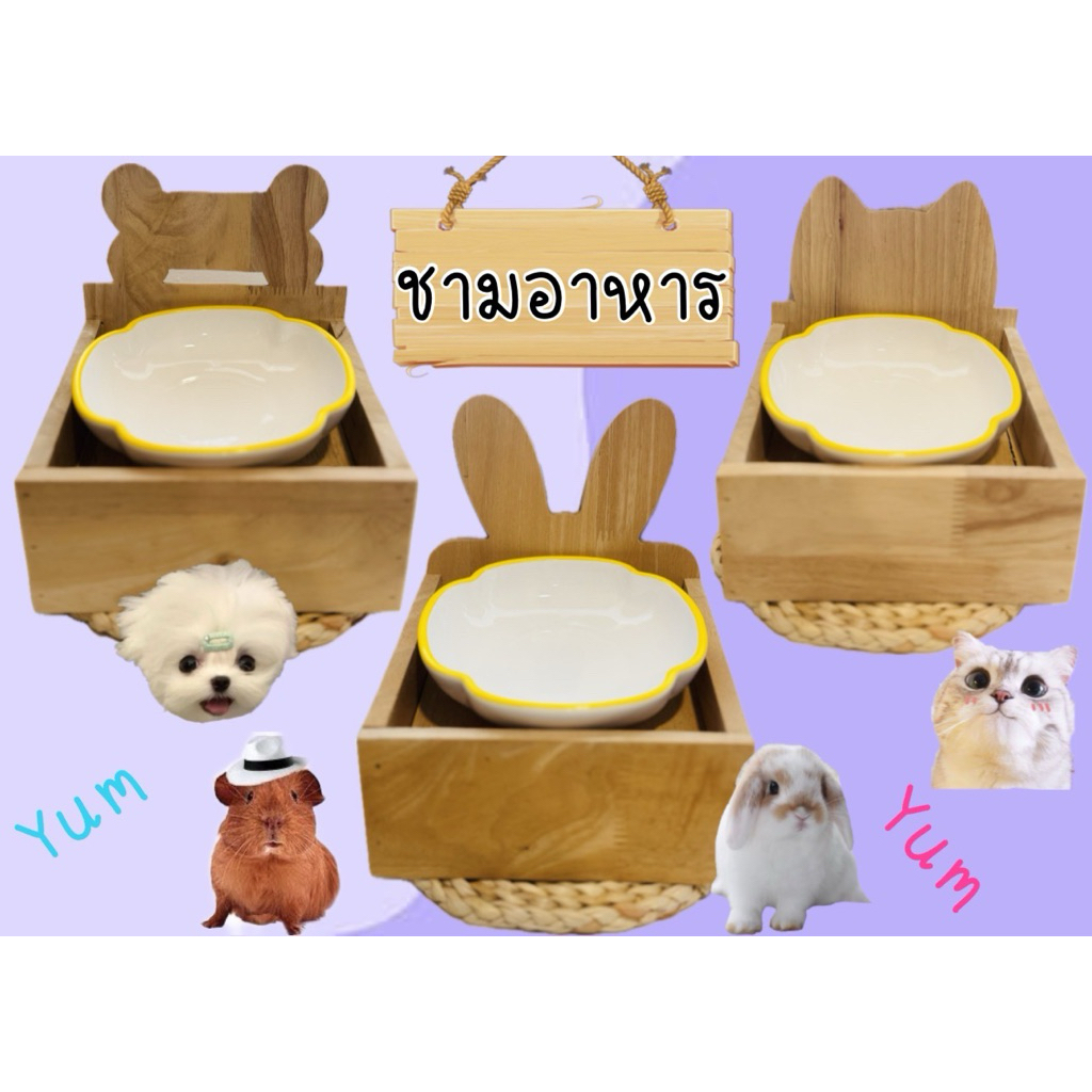 ‼️พร้อมส่ง‼️ชามอาหารสัตว์เลี้ยง  แมว สุนัข กระต่าย แพรี่ด็อก ชินชิลาสัตว์เลี้ยงขนาดเล็ก ที่ใส่น้ำ ที่ใส่อาหารสัตว์