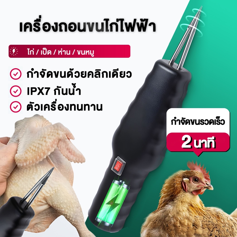 เพียงแค่ 2 นาที เครื่องถอนขนไก่ ขนเป็ด ถอนขนอย่างรวดเร็ว เครื่องถอนขนนกกำจัดขนสำหรับไก่ นก เครื่องถอนขนสัตว์ ที่ถอนขนไก่