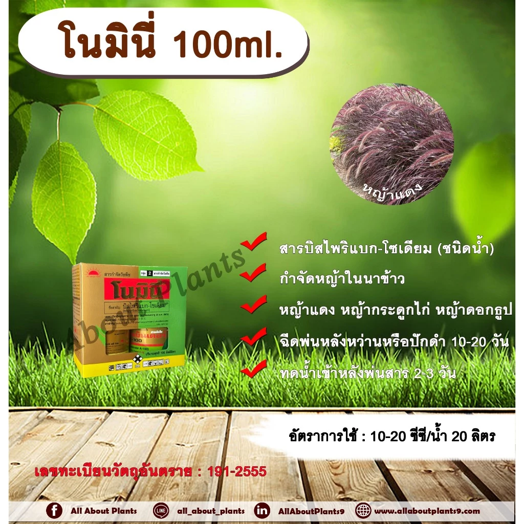 โนมินี่ + ซันบินเดอร์ 100ml. + 100ml. บิสไพริแบกโซเดียม สารกำจัดวัชพืช กำจัดหญ้า ในนาข้าว กำจัดหญ้าแดง หญ้ากระดูกไก่