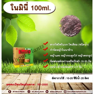 โนมินี่ + ซันบินเดอร์ 100ml. + 100ml. บิสไพริแบกโซเดียม สารกำจัดวัชพืช กำจัดหญ้า ในนาข้าว กำจัดหญ้าแดง หญ้ากระดูกไก่