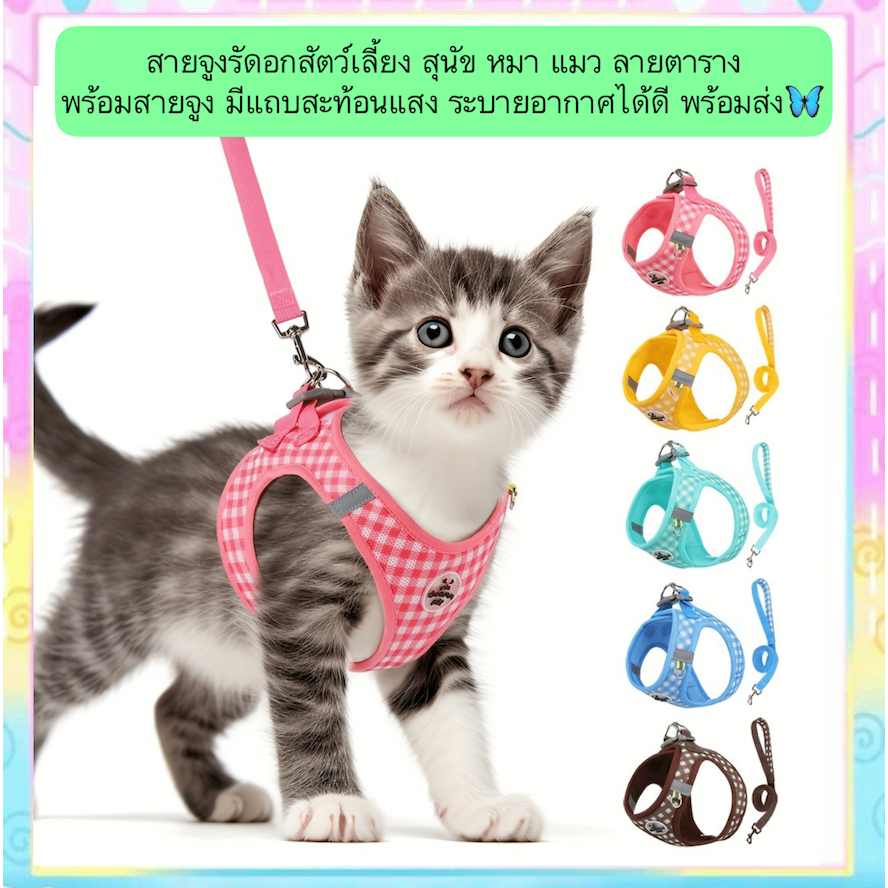 PP-506 สายจูงรัดอกสัตว์เลี้ยง สุนัข หมา แมว ลายตาราง พร้อมสายจูง มีแถบสะท้อนแสง ระบายอากาศได้ดี พร้อมส่ง🦋