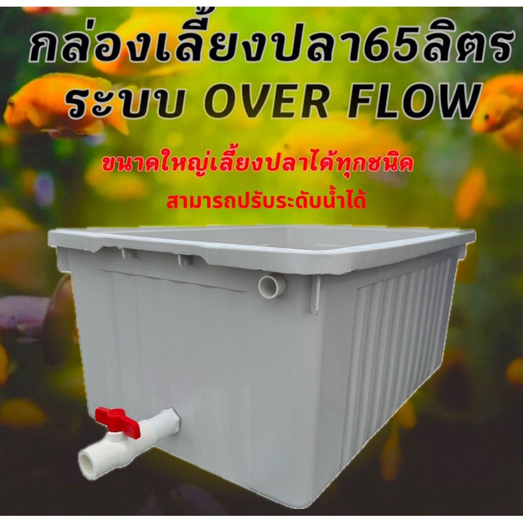 อ่างเลี้ยงปลา 65 ลิตร overflow ท่อสีฟ้า ขนาด 64x44x31ซ. (กล่องสีขาวครีม) ระบบวาวล์ปิดเปิดน้ำได้ อ่างน้ำ อ่างเลี้ยงปลา